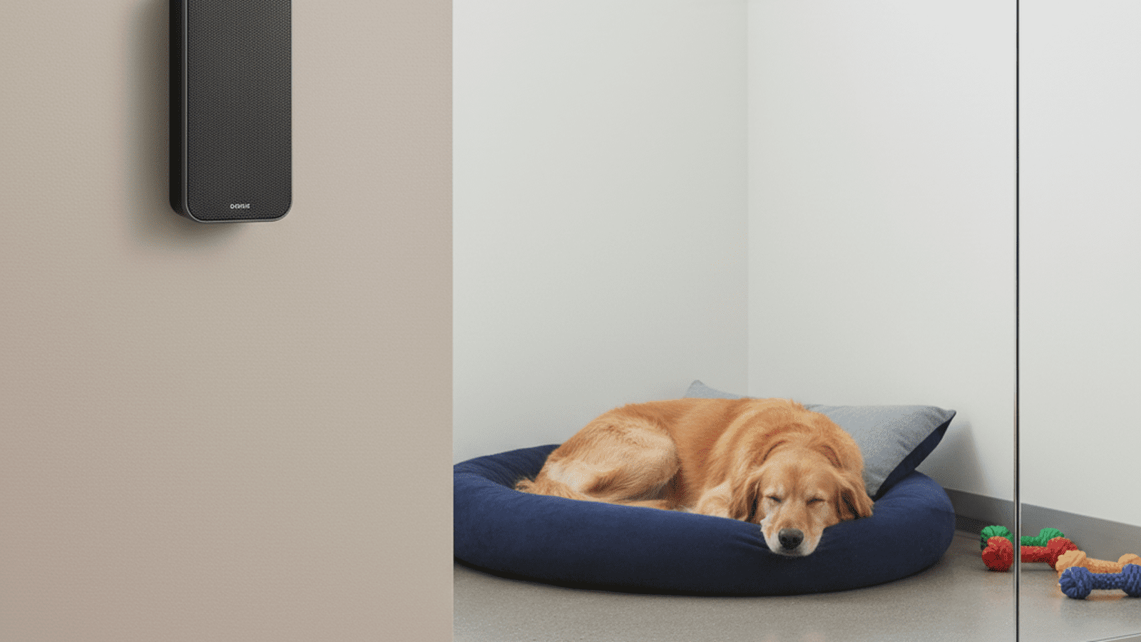A professional kennel environment featuring a wall-mounted speaker used for playing calming music to dogs.