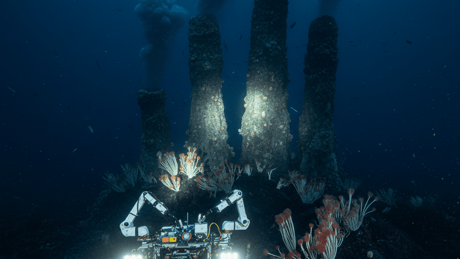 A remotely operated vehicle explores a deep-sea hydrothermal vent field with tall chimneys and giant tubeworms.