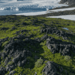 Satellite Data Reveals Rapid Greening of the Antarctic Peninsula