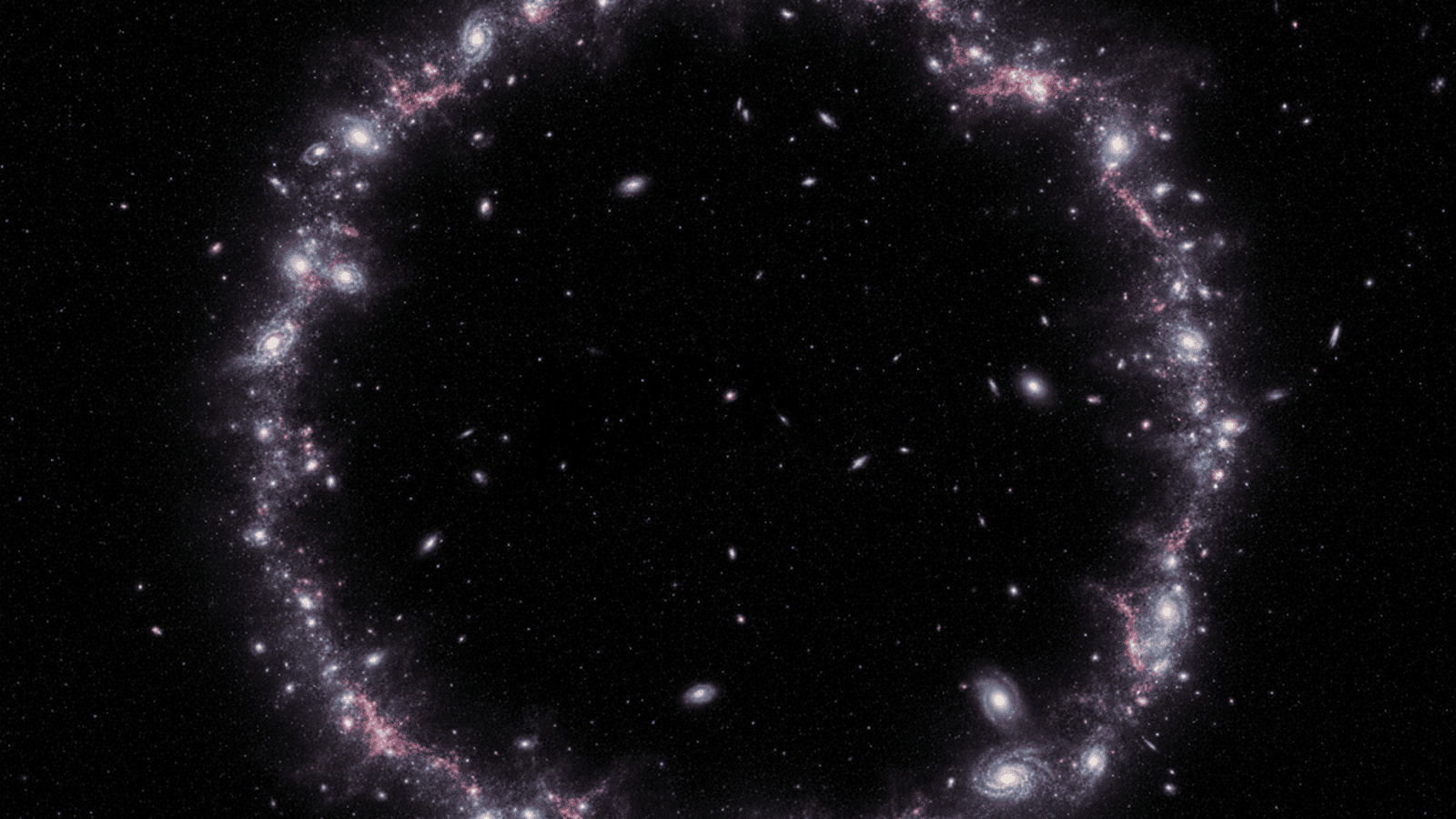 A cosmic visualization showing a massive ring-shaped arrangement of distant galaxies in deep space.
