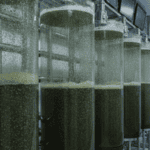 Private Sector Breakthrough Converts Methane Emissions into Organic Fertilizer