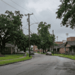 Louisiana Redraws the Map: Scotlandville Loses Its Homegrown Voice in Congress