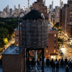 Rare Barn Owl Family Makes Manhattan History on the Upper West Side